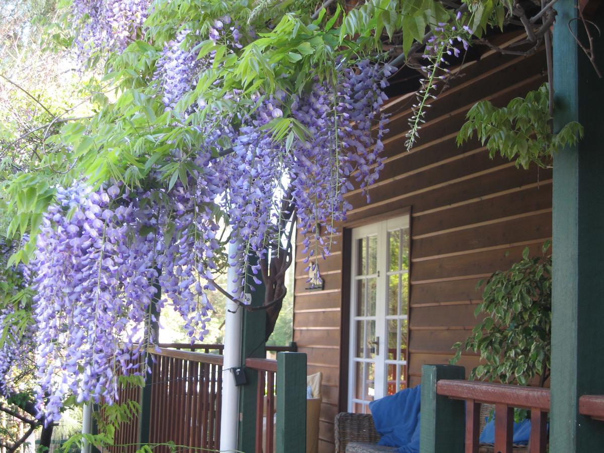 Rosemoore Bed & Breakfast Perth Bagian luar foto